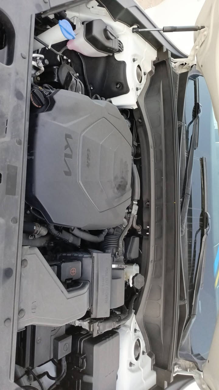 كيا تلورايد وارد أمريكي  مديل 23 بدون رقام    موصفات فول 1/1  فتحتين  بصمه  وجنطه كهرباء وبردات وكشنات تدفى تبريد وكراسي ثنين كهرباء ومرايات شفط ورادارات امامي وخلفي وبل مري موصفاته معروفه )((كفاله عامه مكفوله حته دعاميه
السعر ب330. ماشيه فقط 49ب مريكه فقط 
***********
