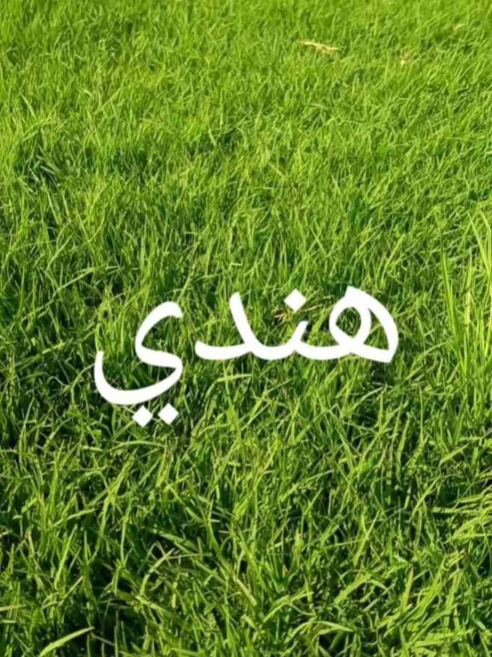 السلام عليكم 🌱🇮🇶
لكل شخص يشوف هالكلام، إحنا عدنا مشروع ثيل طبيعي وتشجير وحدائق، وهدفنا مو بس تجارة أو شغل، هدفنا الحقيقي نخدم العراق ونزيد المساحات الخضراء ونخلي مدننا وشوارعنا وبيوتنا أجمل وأرتب 🌿
الثيل الطبيعي مو بس منظر حلو، لا، يساعد بتخفيف الحرارة ويعطي راحة وجمالية للمكان ويخلي الجو أهدأ وأرتب 🌴
وإحنا نوفر أنواع ثيل طبيعي ممتازة وتجهيز مرتب يناسب: الحدائق، الدوارات، البيوت، المنتزهات، الملاعب، والمشاريع الكبيرة والصغيرة.
وكل شخص يحب يدعم فكرة تخدم البيئة وتخلي بلدنا أحلى وأخضر، فأهلاً وسهلاً بيه ❤️🇮🇶
📞 للتواصل: ***********
***********
إيد بإيد نكدر نسوي بصمة حلوة ونخلي العراق أخضر وأجمل 🌱
