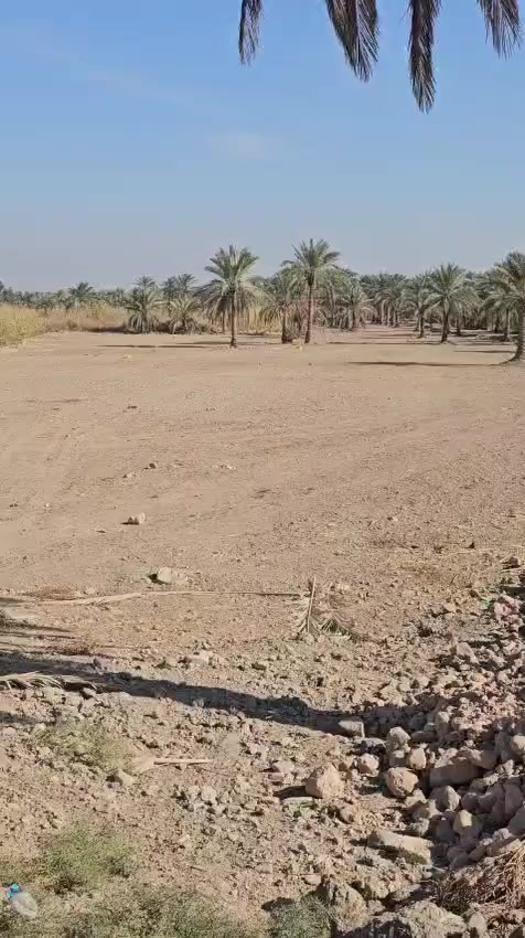 ارض زراعيه  6ونص دونم وجهه للشارع العام كافت الخدمات بيها للتفاصيل والاستفسار***********
