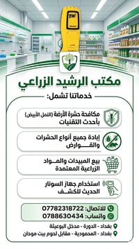 بغداد • الدورة • مدخل البوعيثة