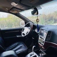 سنتافيا • ٢٠١١ • دخول جديد