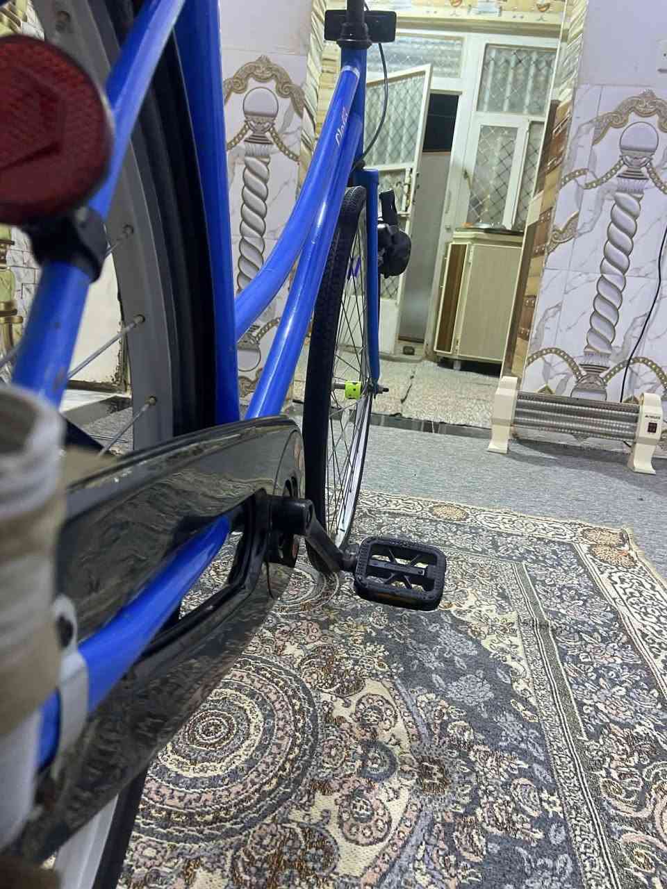 السلام عليكم الباسكل للبيع الشراي يجي خاص مكان الديوانية شارع سالم السعر خاص


**إذا كنت صاحب هذا الإعلان وتريد حذفه لأي سبب، رجاءا أرسل رسالة إلى الدعم الفني**
