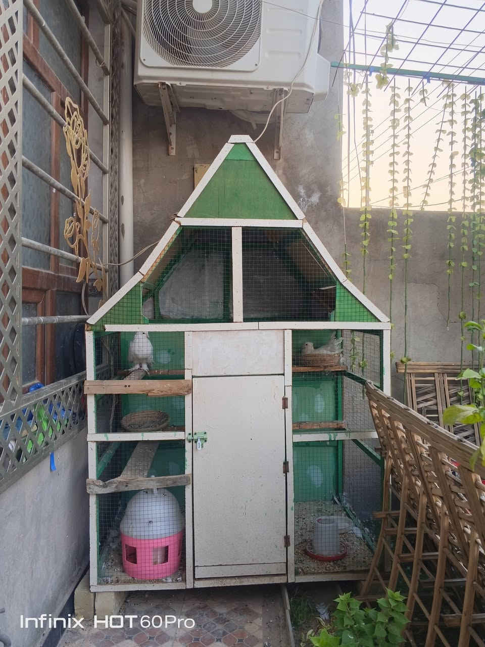 سسلام عليكم
قفص حجم كبير + يحتوي على ساقيه ماء وطعام وعش + طيور عرايس نشة وفحل) للبيع

🏵️السعر : 70

🏵️المكان : بعقوبة باب الدرب


**إذا كنت صاحب هذا الإعلان وتريد حذفه لأي سبب، رجاءا أرسل رسالة إلى الدعم الفني**