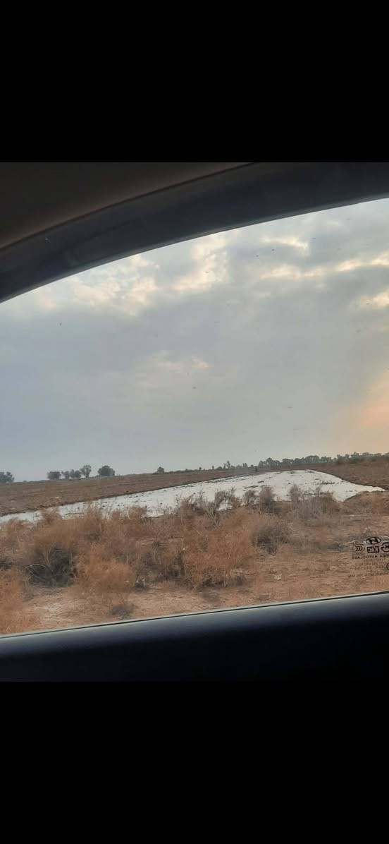 السلام عليكم ارض للبيع الصويره. طريق العام 10دونم طابو سند 25 تحويل بطابو الصويره متوفر ماء سقي ماء سأله كهرباء طريق يربط بين صويره  عزيزيه طريق الزوار للستفسار ***********
