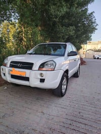 توسان ٢٠١٠ • رقم شمالي • النجف