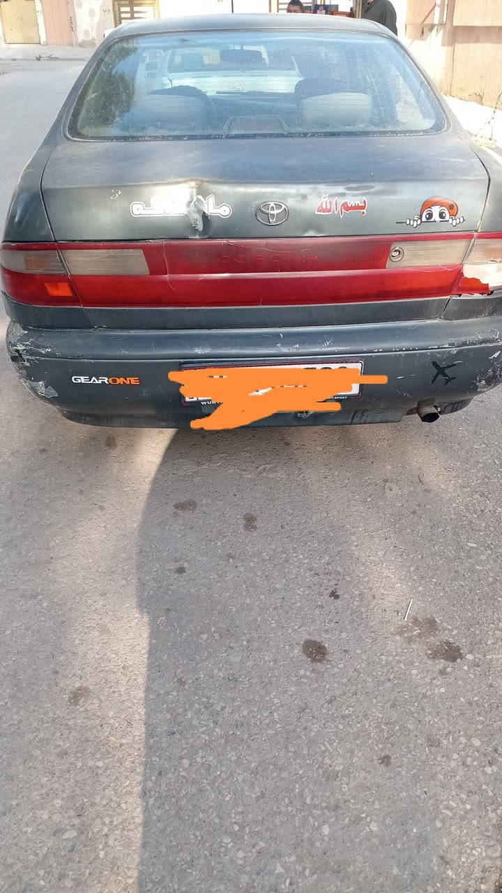 السلام عليكم فرخ بطه للبيع رقم الانبار تتحول بالموصل شرط التحويل رقم مسطره سنوية ل 2030السعر 32 وبيها مجال للطيبين *********** $***********
