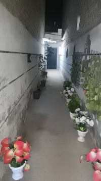 بيت للبيع في الوشاش يحتوي على غرفه جلوس واحده وغرفه نوم كبيره نسبيا وح...