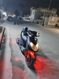 سكنس فحل للبيع او مراوس مكان بغداد  رقم 07706065408