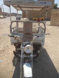 ستوته • نضيفه • بدون أوراق