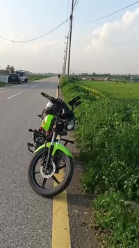 شاينك • ٢٠٢٤ • مرقم