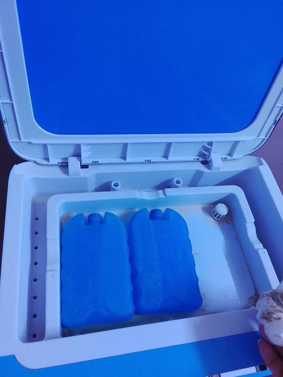 السلام عليكم عيني مبرده للبيع جديده عنواني شارع لمسبح مقابل جبار ابو الشربت شراي يدخل خاص.


**إذا كنت صاحب هذا الإعلان وتريد حذفه لأي سبب، رجاءا أرسل رسالة إلى الدعم الفني**