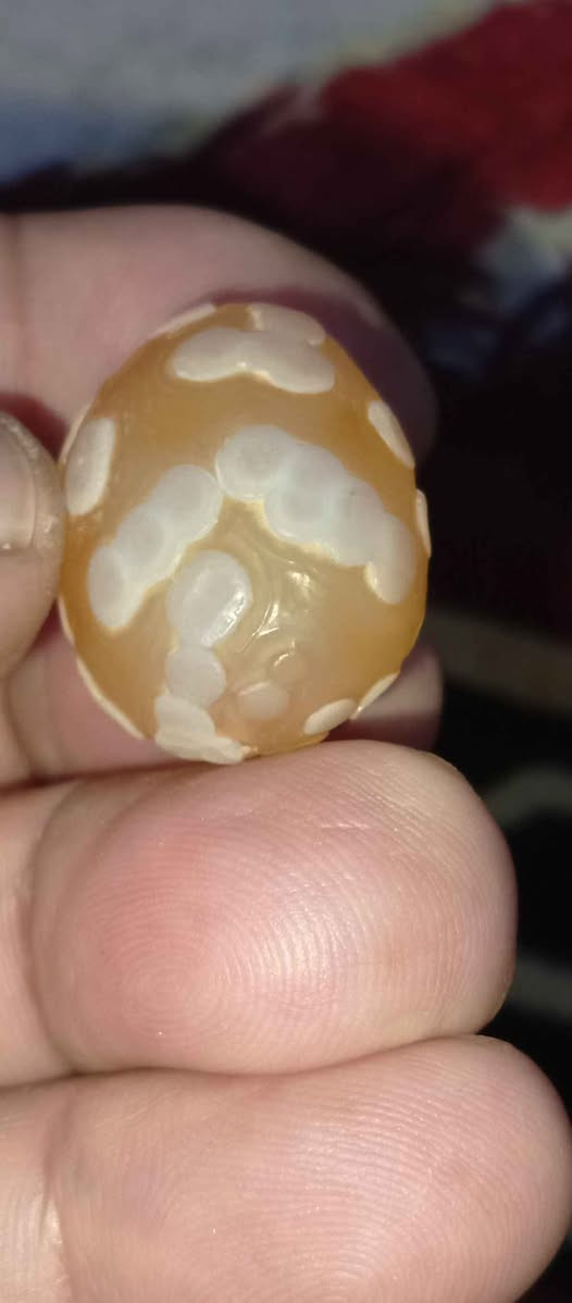 ‎خرزة سليماني‎ كربلاء, العراق


**إذا كنت صاحب هذا الإعلان وتريد حذفه لأي سبب، رجاءا أرسل رسالة إلى الدعم الفني**