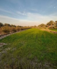 الطهمازيه • طابو زراعي • سند ٢٥
