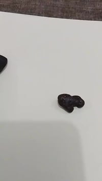 هبهاب فساد فول ٠٧٧٠٣٢١٦٩٣٠