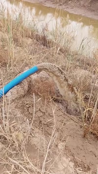 حفر الابار • عزل المالح • فحص بالكاشف