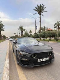 موستانج ايكوبوست • ٢٠١٨ • حادث امامي