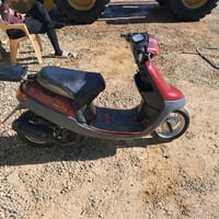 بطة • ٢٠٠٣ • نضيفه