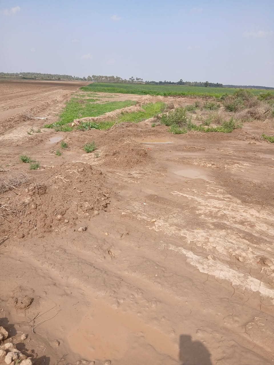 السلام عليكم ورحمت الله وبركاته.    ارض للبيع الصويره قرب الشط طابو تحويل مباشر عله طابو الصويره كافت الخدمات  تربه لارض جيده بنسبه 100........100.  ارض تجاريه وزراعيه.  سعر الدونم 14 مليون وبيهه مجال للستفسار التصال ***********
