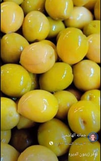 زيتون الديره • كمية محدودة
