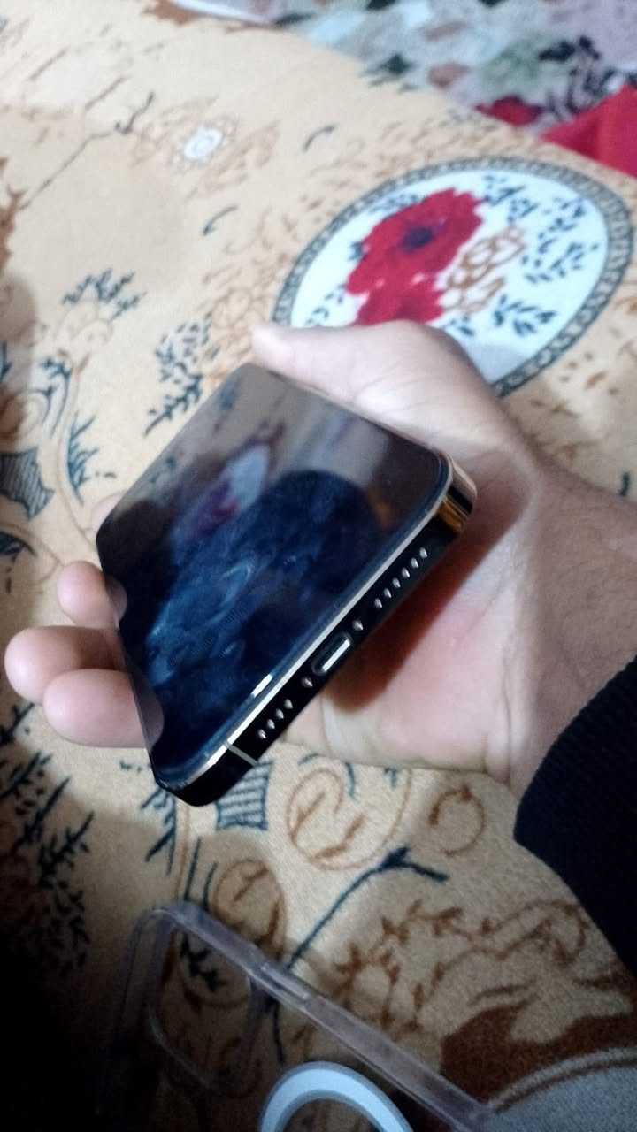 آيفون ١٢ برو ماكس بدل شاشه وبطاريه كلش حلوات شحن ابد ميصرف وبطاريه ١٠٠ جهاز زلغ مابي


**إذا كنت صاحب هذا الإعلان وتريد حذفه لأي سبب، رجاءا أرسل رسالة إلى الدعم الفني**