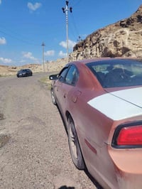 درب السلامه • بغداد الفجر • خدمات