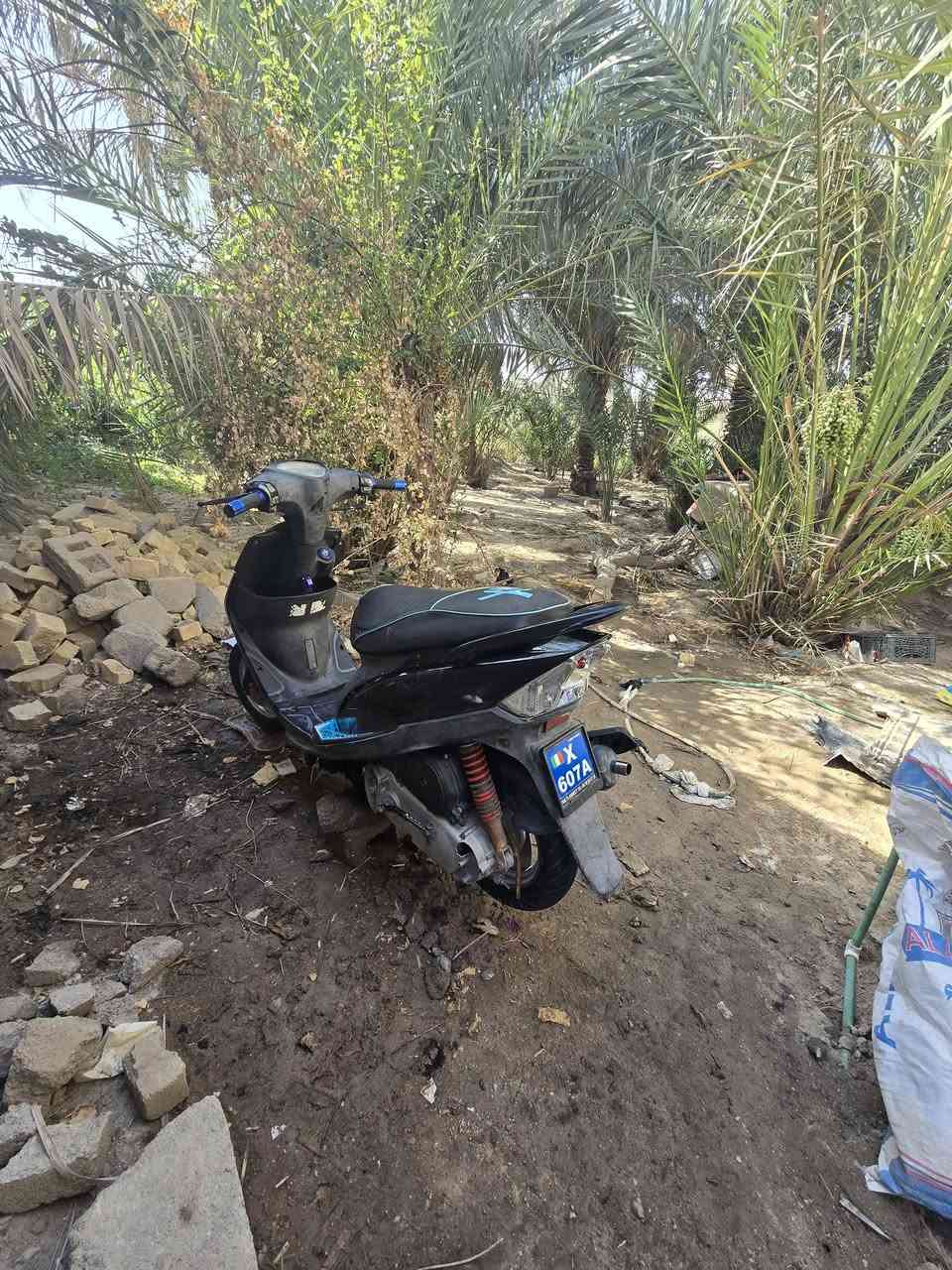 مراوس فقط


**إذا كنت صاحب هذا الإعلان وتريد حذفه لأي سبب، رجاءا أرسل رسالة إلى الدعم الفني**