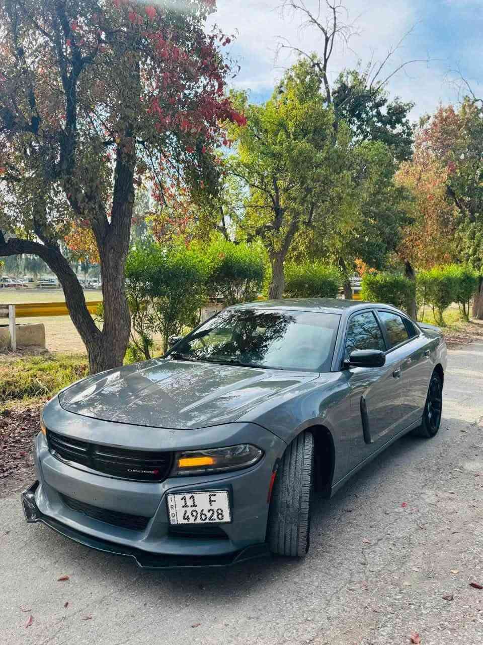 جارجر موديل 2019 رقم بغداد بسمي v6 السياره كلش جديده 
رقم بغداد بسمي سنويه وهزه جديده صدر امامي خلفي كلشي بيها حديد السياره بيها قطعه وحده فقط وصور الحادث بلمنشور موجودات مكاني ديالى بعقوبه السعر 222
***********
