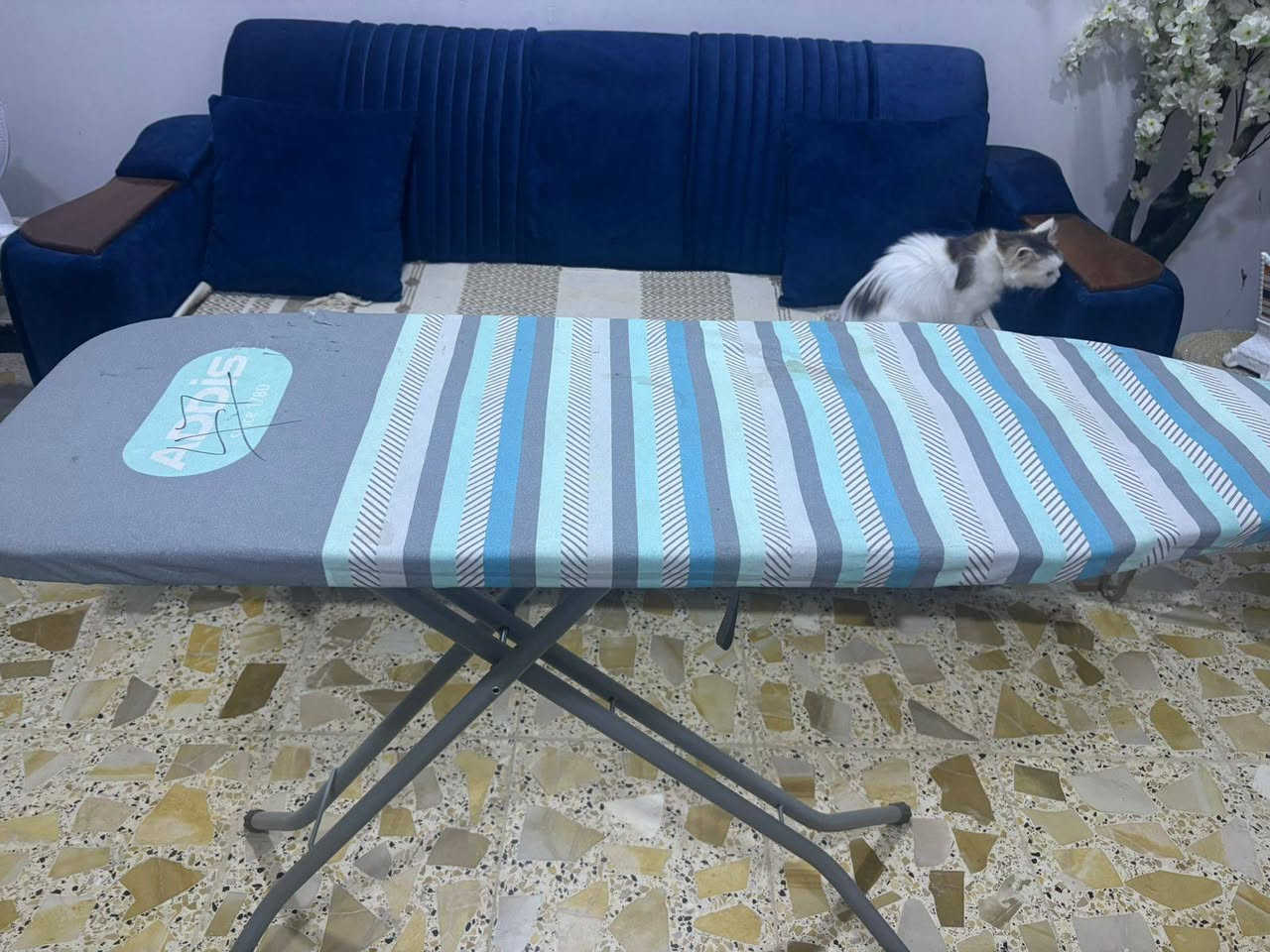 باله اوربي ماركات اصليه 🌹🌹


**إذا كنت صاحب هذا الإعلان وتريد حذفه لأي سبب، رجاءا أرسل رسالة إلى الدعم الفني**