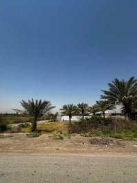 قطعه ارض زرعي ركن  المساحه 550 متر  الوجهة 22 متر  النزال25 متر  السوي...