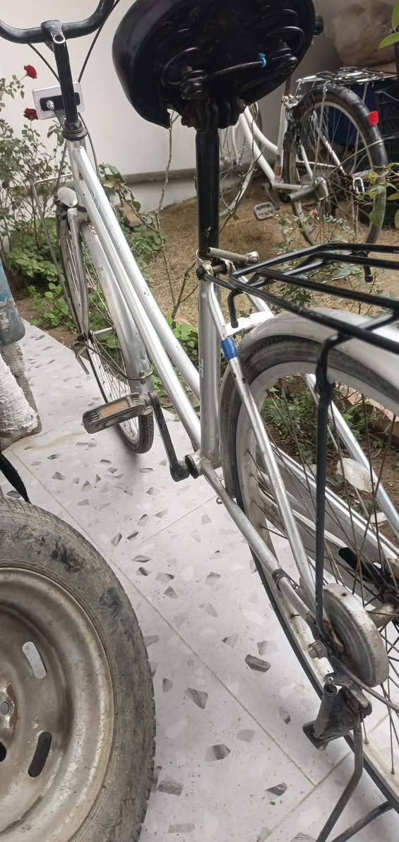 اسلام عليكم بلسكل للبيع شركه اي بي موديل 2018
لون رصاصي حجم 26 سعر 60بي مجال غليل شر


**إذا كنت صاحب هذا الإعلان وتريد حذفه لأي سبب، رجاءا أرسل رسالة إلى الدعم الفني**