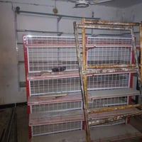 رفوف ابو السفينه • مستعمل قليل • بابل مركز السكان