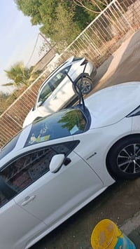 كورلا هايبرد • ٢٠٢٤ • حادث خلفي