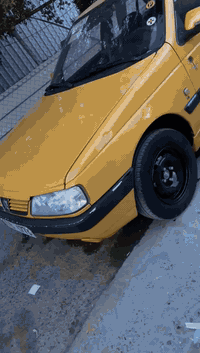 لميس ٢٠١٢ • مكفوله • رقم واسط