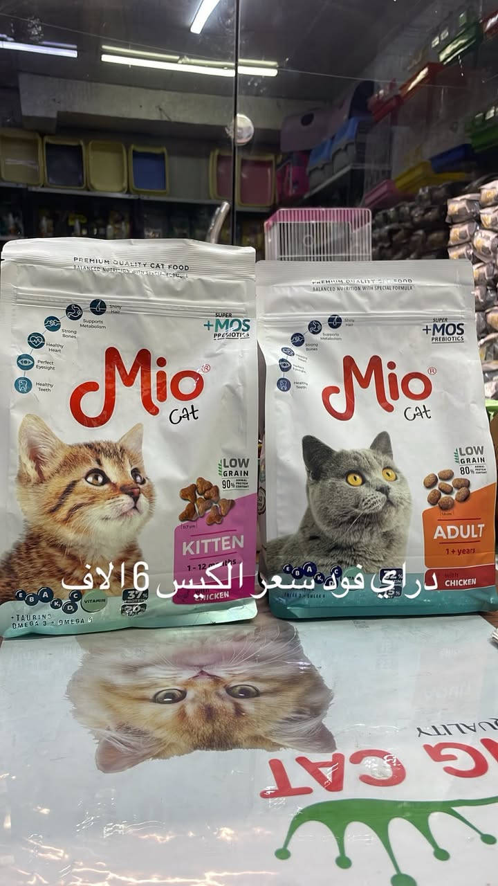 العنوان:بغداد_الشعب_شارع الاسواق المركزية مقابيل مدرسه جندي الباسل :يتوفر جميع مستلزمات حيوانك الاليف 🐈. رقم واتساب ‭***********‬ توصيل متوفر
