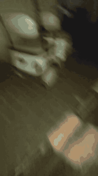 السلام عليكم دراجه شحن 3 راكب موديل 25 جديده العنوان بغداد الشعله سعر مليون 400 رقم  ***********
