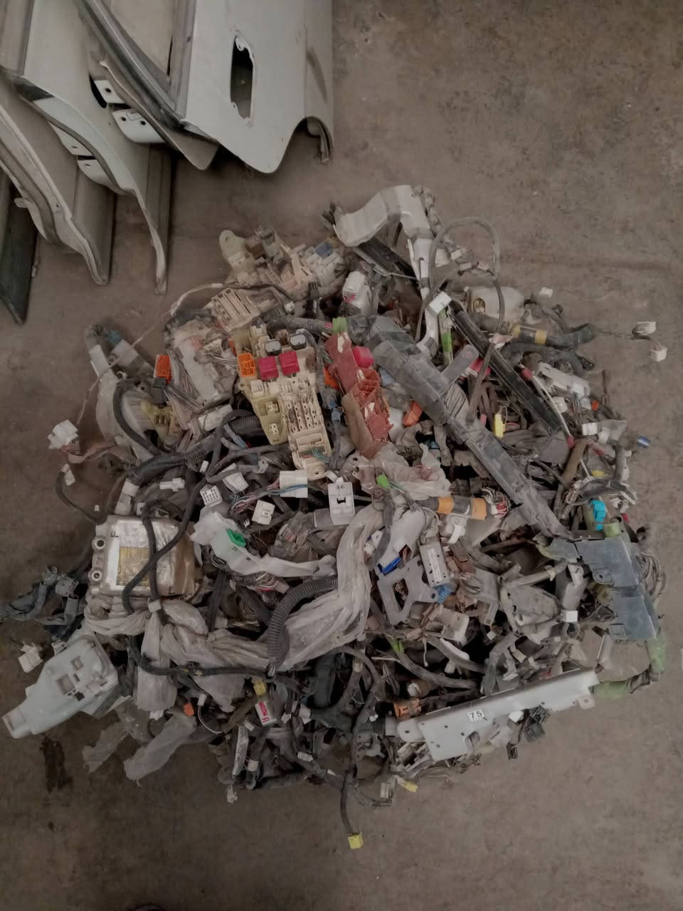 السلام عليكم لبيع ضفاير مال ياباني حاويه مال راس الثور و شيزر نفخ و هارتوب و أرنب ***********
