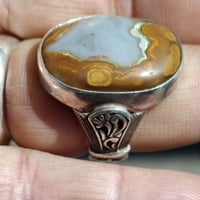 داودي • للعشاق