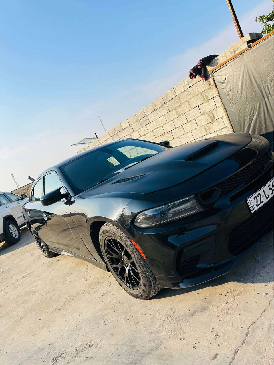 جارجر Sxtموديل ٢٠١٧شاشه كار بلى بلادي بدون صبغ بونيد محدث باب السكن مفتوح عنوان كركوك سعر ١٩٣بي مجال كركوك, العراق


**إذا كنت صاحب هذا الإعلان وتريد حذفه لأي سبب، رجاءا أرسل رسالة إلى الدعم الفني**