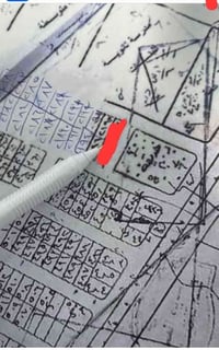 أم العصافير • ملك صرف • ٢٠٠م