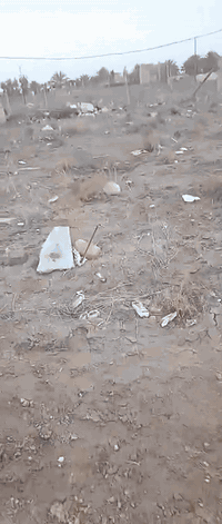 قطعة أرض للبيع
📍 الحمزة الغربي – هور حجاب
📐 المساحة: 200 م²
📄 النوع: طابو زراعي – سند 25
📌 الموقع: بالقرب من السايلو، يم البزل
💰 السعر: مناسب (قابل للتفاوض)
📞 للاستفسار والاتصال:
***********
