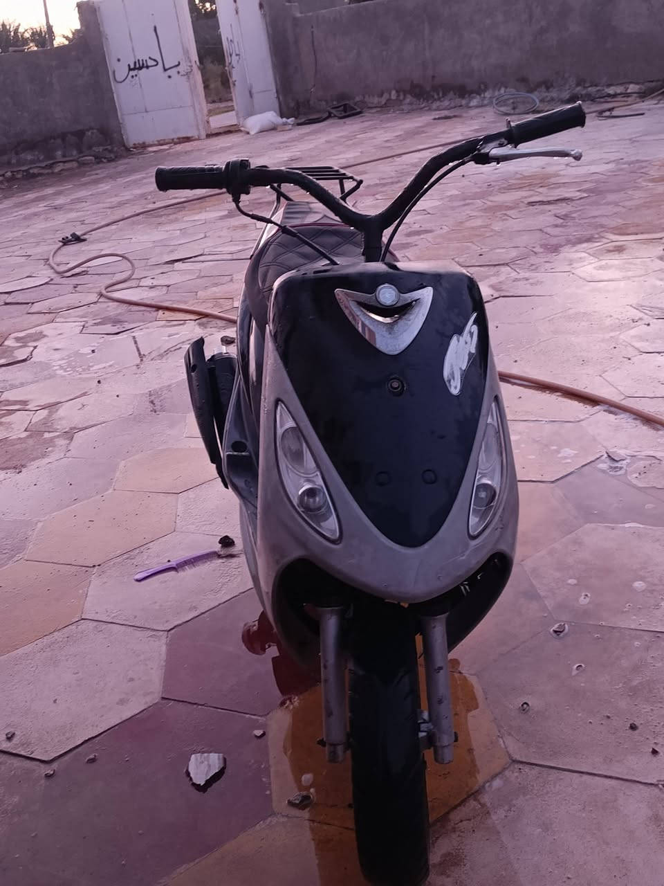 للبيع ماكس منغولي ب350
***********
