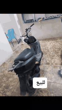 السلام عليكم دراجه للبيع عصفوريه مكينه ناعمه للبيع شلعه حلوه مكانها بابل مسيب حي العسكري سعر 150 وبيها مجال


**إذا كنت صاحب هذا الإعلان وتريد حذفه لأي سبب، رجاءا أرسل رسالة إلى الدعم الفني**