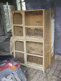 خانتين نضيفات للبيع السعر 60وبيهن مجال قليل اليريدهن يتصل عله هاذه الر...