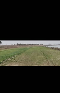 ارض زراعيه • ١٠ دونم • طريق كوت شيخ سعد