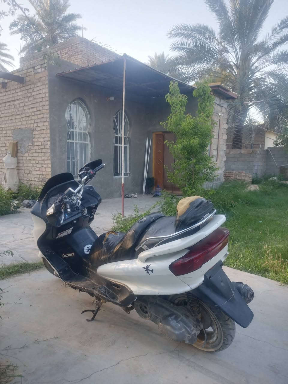 سلام عليكم ماجسته دبل رون للبيع دراجه خير من الله لا نضوح ولا تبخير ترايك ليوين ما تريد شلعه ومعدل سعر 400 قابل للتفاوض رقم ***********
