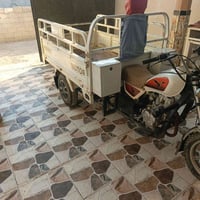 ستوته • ٢٠٢٠ • ديالى سراجق