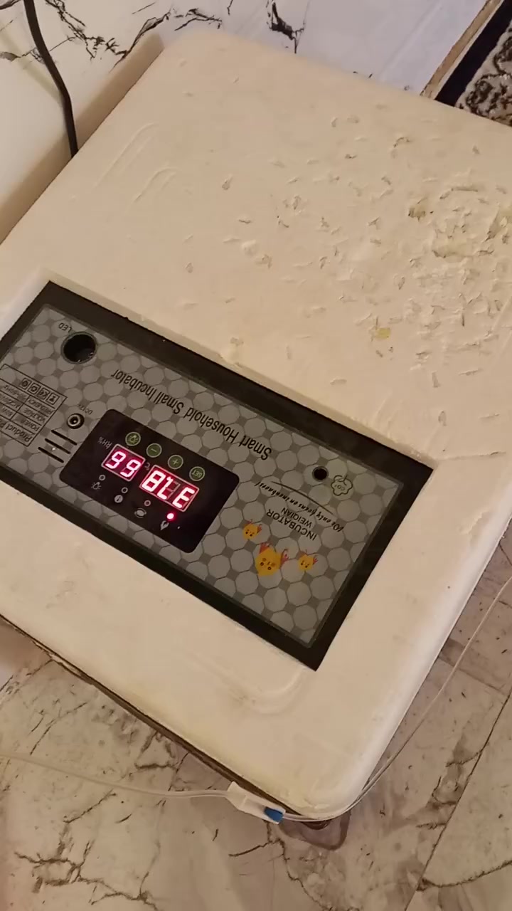 سلام عليكم فقاسه للبيع ستعمال مرتين فقط تواصل على هاذه رقم /***********
