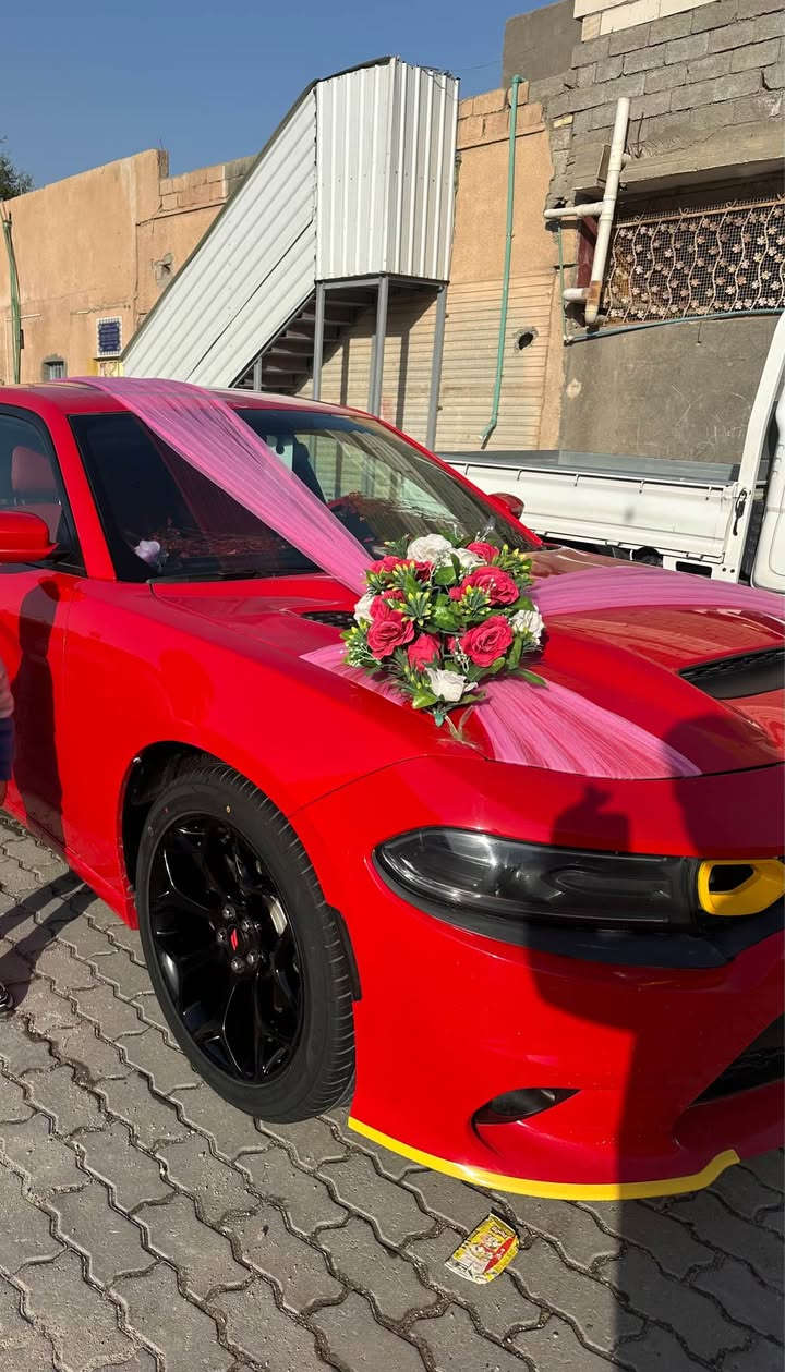 السلام عليكم  دوج جارجر 2019 لون احمر مميز حادثهة جاملغ امامي ايرباك سليم  محدثهsrt فول مواصفات  1 فتحه سلايت 2 حساس خلفي 3 كامره خلفية 4 كشنات حضن  رقم أربيل جديد سياره بسمي  مكينه6 سلندر 3600  مكينه وكير وحدادة تبريد كلهة جاهزة السعر 245  العنوان الزبير مربد جديد رقم *********** الزبير, البصرة
