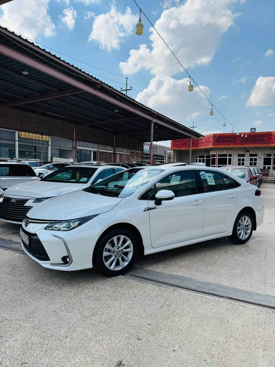 تويوتا كرولا خليجي 2023 
٨٤ كم رويشتوة 
ضمان شريكة جيهان 
١٨٠ ورقة و مجالي تيداية
هيچي نية أربيل, العراق


**إذا كنت صاحب هذا الإعلان وتريد حذفه لأي سبب، رجاءا أرسل رسالة إلى الدعم الفني**