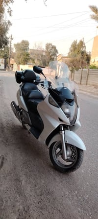 سلفر ونج • ٦٠٠ • ورقه